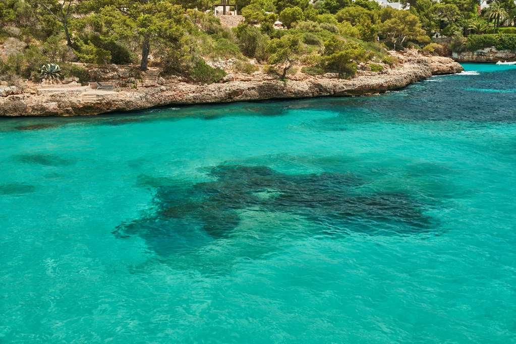 Barcel Ponent Playa Hotell Cala D´Or Natur bilde